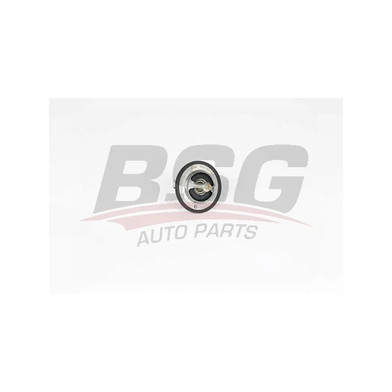 Thermostat d'eau BSG BSG 40-126-007