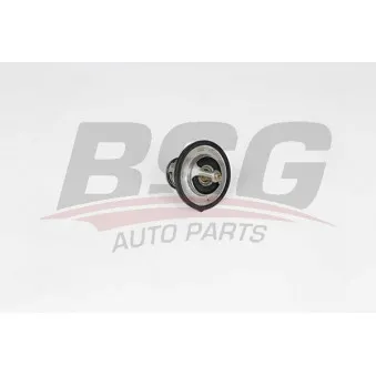 Thermostat d'eau BSG BSG 40-126-009