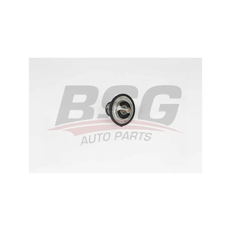 Thermostat d'eau BSG BSG 40-126-009