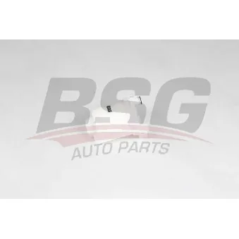 Filtre à carburant BSG BSG 40-130-023