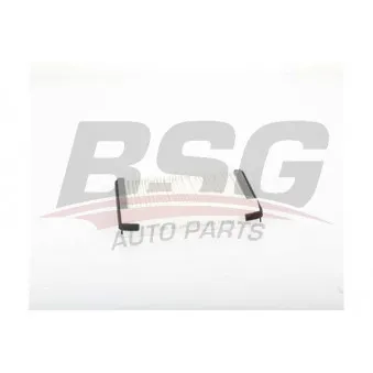 Filtre, air de l'habitacle BSG BSG 40-145-003
