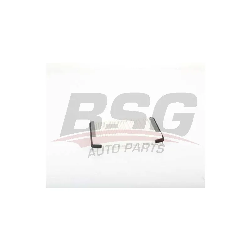Filtre, air de l'habitacle BSG BSG 40-145-003