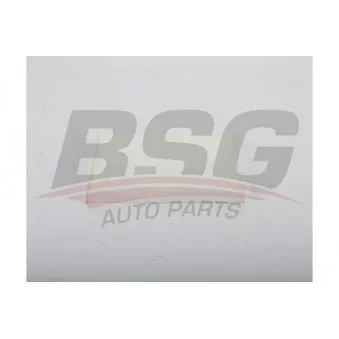 Filtre, air de l'habitacle BSG BSG 40-145-023