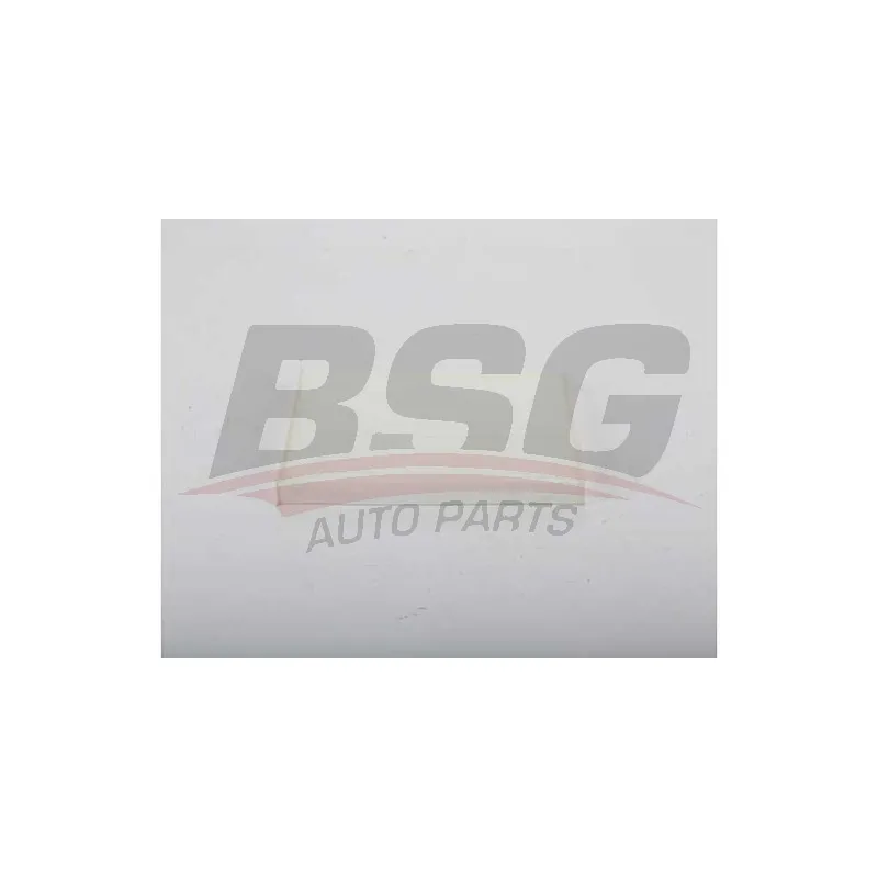 Filtre, air de l'habitacle BSG BSG 40-145-023