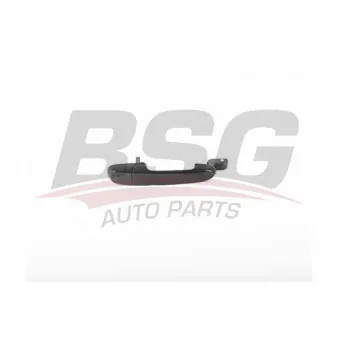 Poignée de porte BSG BSG 40-970-025