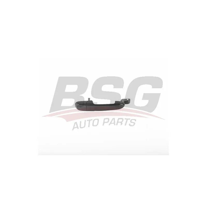 Poignée de porte BSG BSG 40-970-025