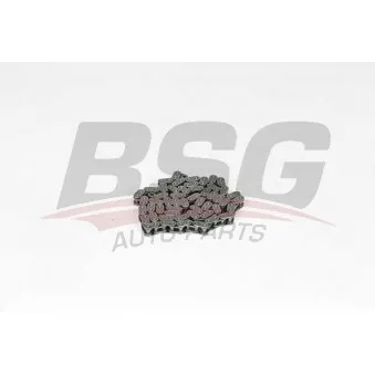 Chaîne de distribution BSG BSG 60-109-008
