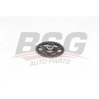 Roue dentée, arbre à came BSG BSG 60-109-017