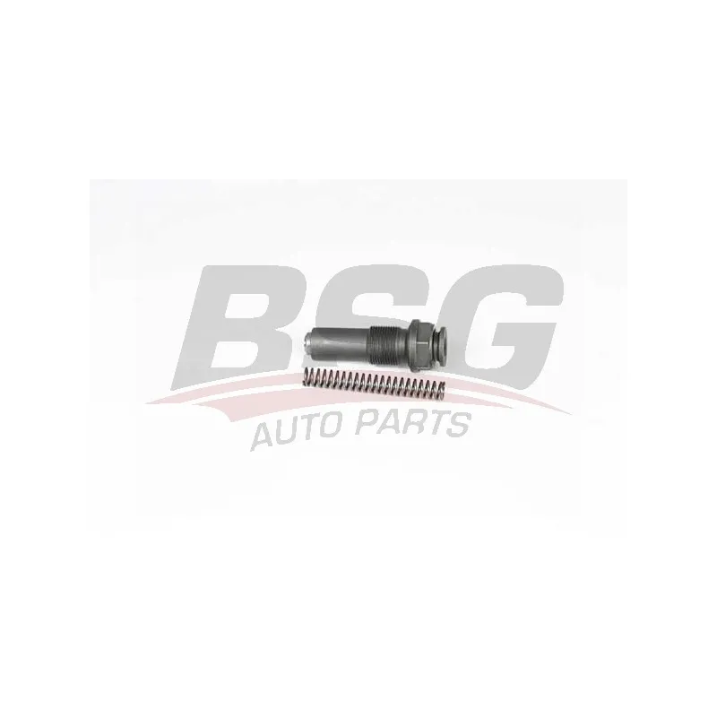 Tendeur, chaîne de distribution BSG BSG 60-109-024