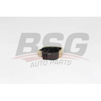 Coulisse, chaîne de distribution BSG BSG 60-109-028