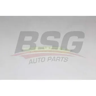 Coulisse, chaîne de distribution BSG BSG 60-109-041