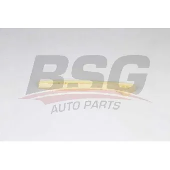Coulisse, chaîne de distribution BSG BSG 60-109-063