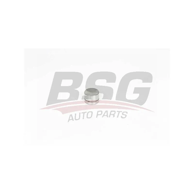 Poussoir de soupape BSG BSG 60-122-002