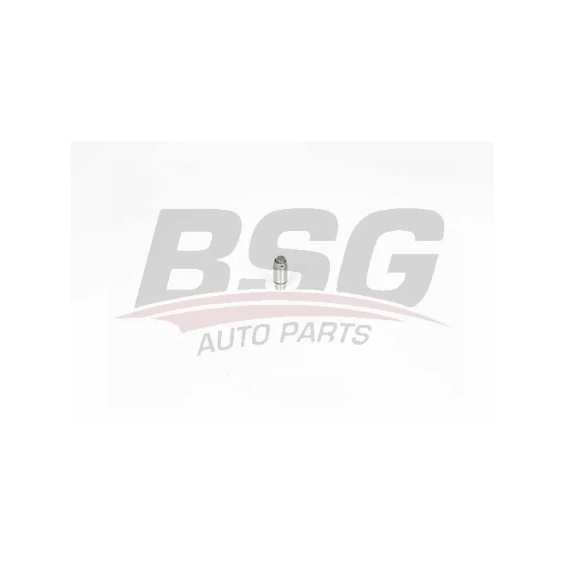 Poussoir de soupape BSG BSG 60-122-003