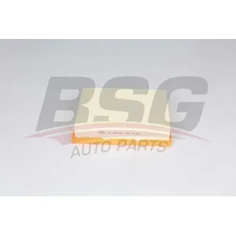 Filtre à air BSG BSG 60-135-018