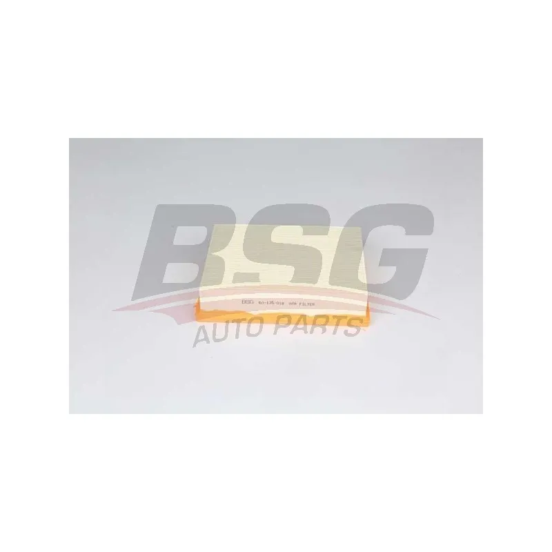Filtre à air BSG BSG 60-135-018