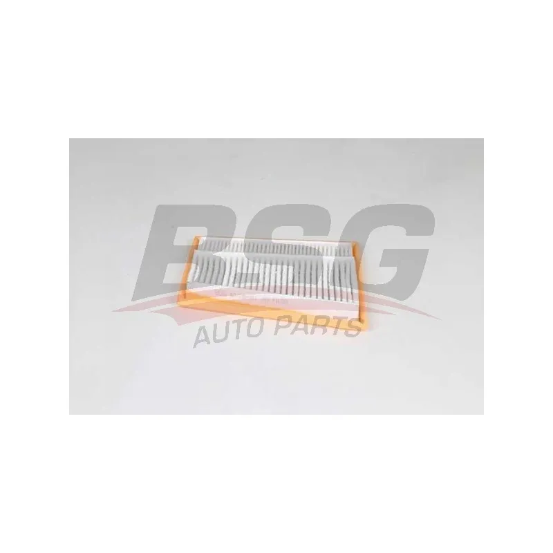 Filtre à air BSG BSG 60-135-021