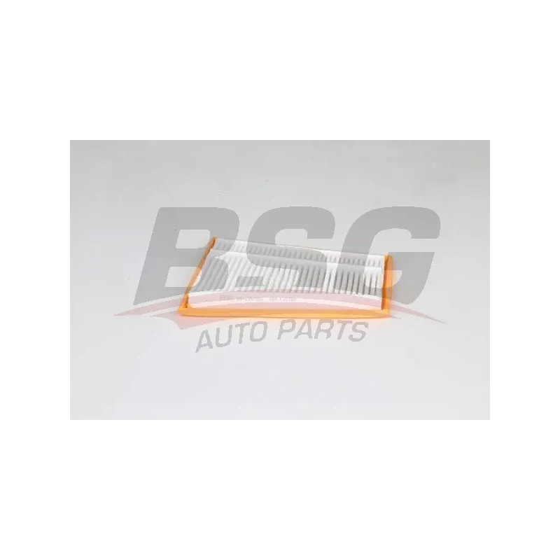 Filtre à air BSG BSG 60-135-022