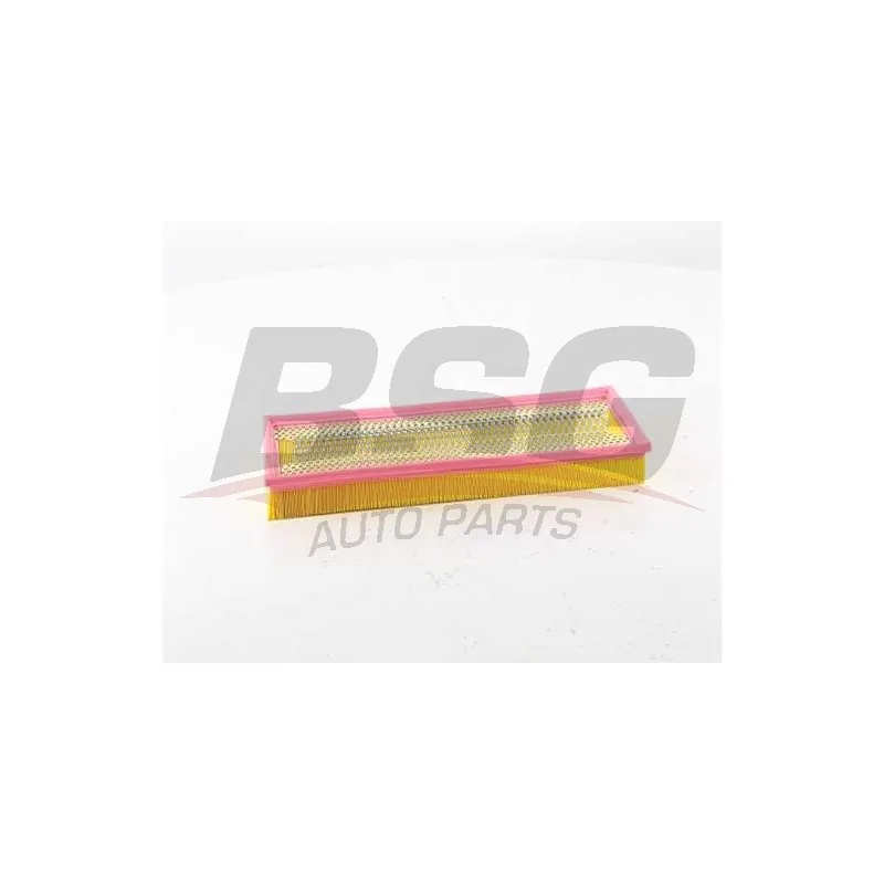 Filtre à air BSG BSG 60-135-040