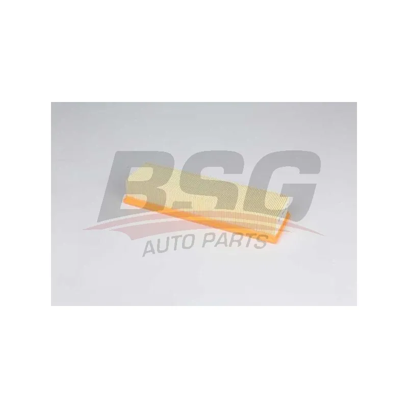 Filtre à air BSG BSG 60-135-045