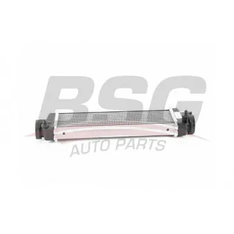 Intercooler, échangeur BSG BSG 60-535-010