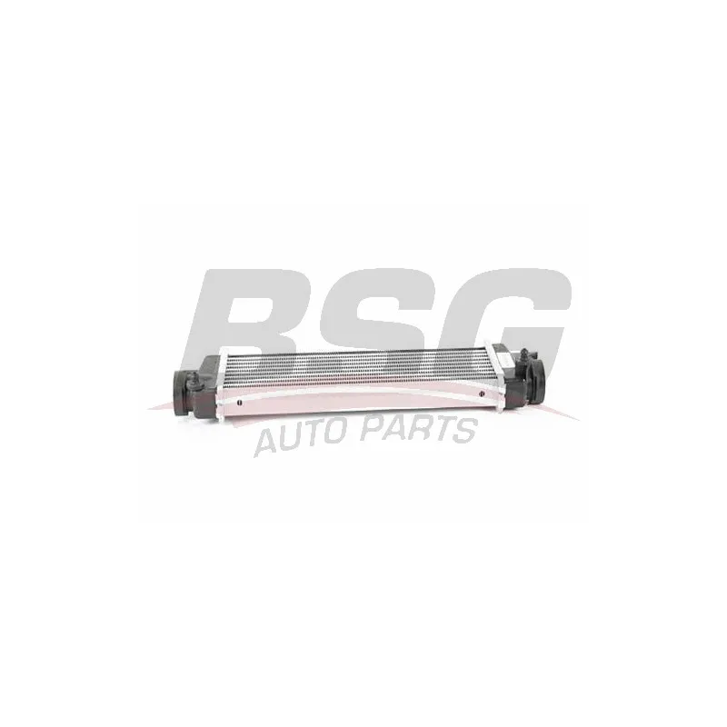 Intercooler, échangeur BSG BSG 60-535-010