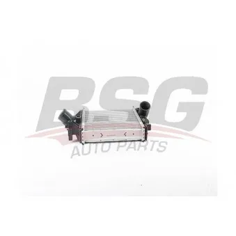 Intercooler, échangeur BSG BSG 60-535-014