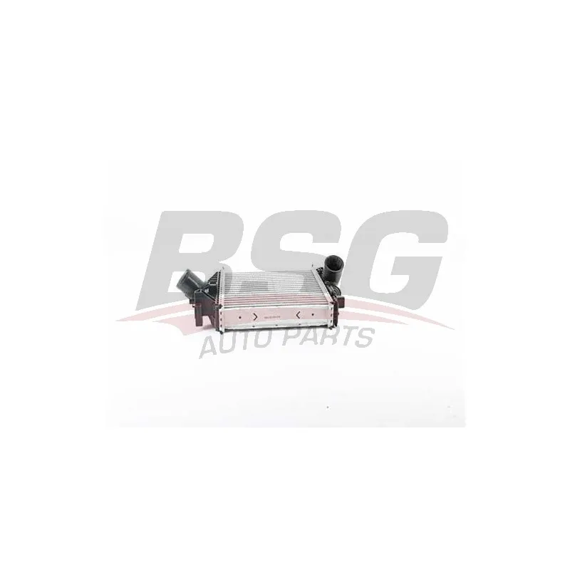 Intercooler, échangeur BSG BSG 60-535-014