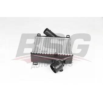 Intercooler, échangeur BSG BSG 60-535-015