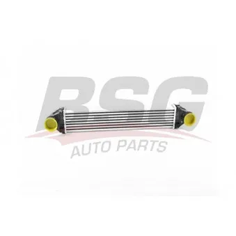 Intercooler, échangeur BSG BSG 60-535-020