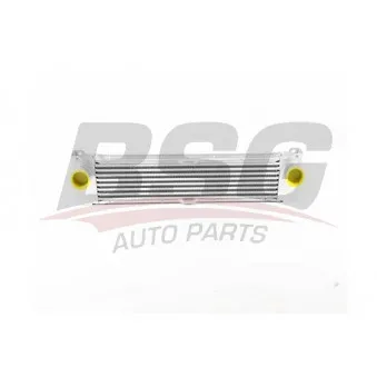 Intercooler, échangeur BSG BSG 60-535-025