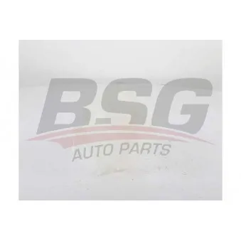 Vase d'expansion, liquide de refroidissement BSG BSG 60-551-002