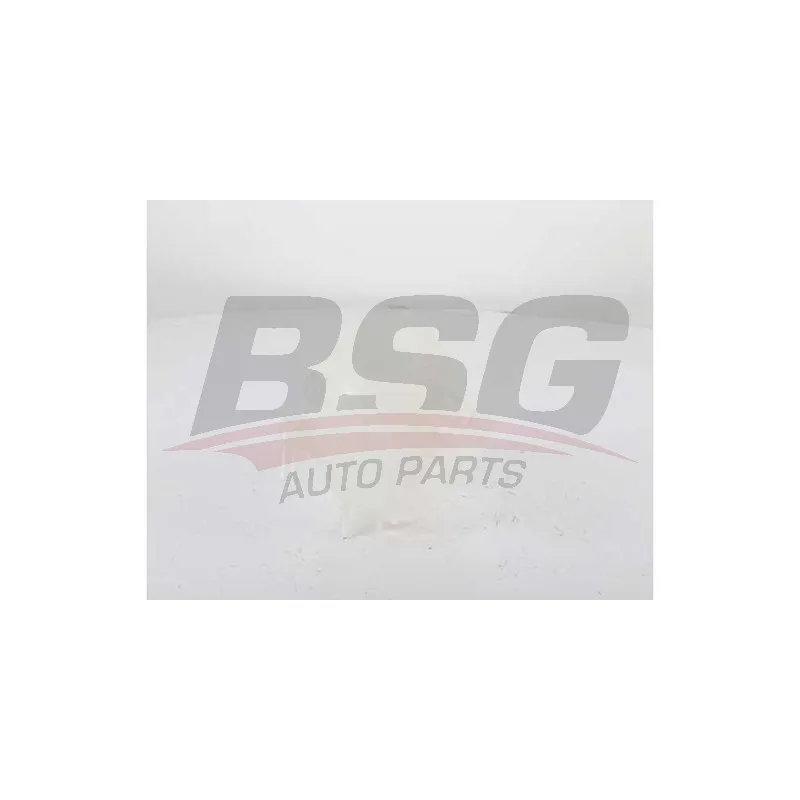 Vase d'expansion, liquide de refroidissement BSG BSG 60-551-002