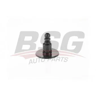 Jeu de 2 amortisseurs arrière BSG BSG 60-700-192