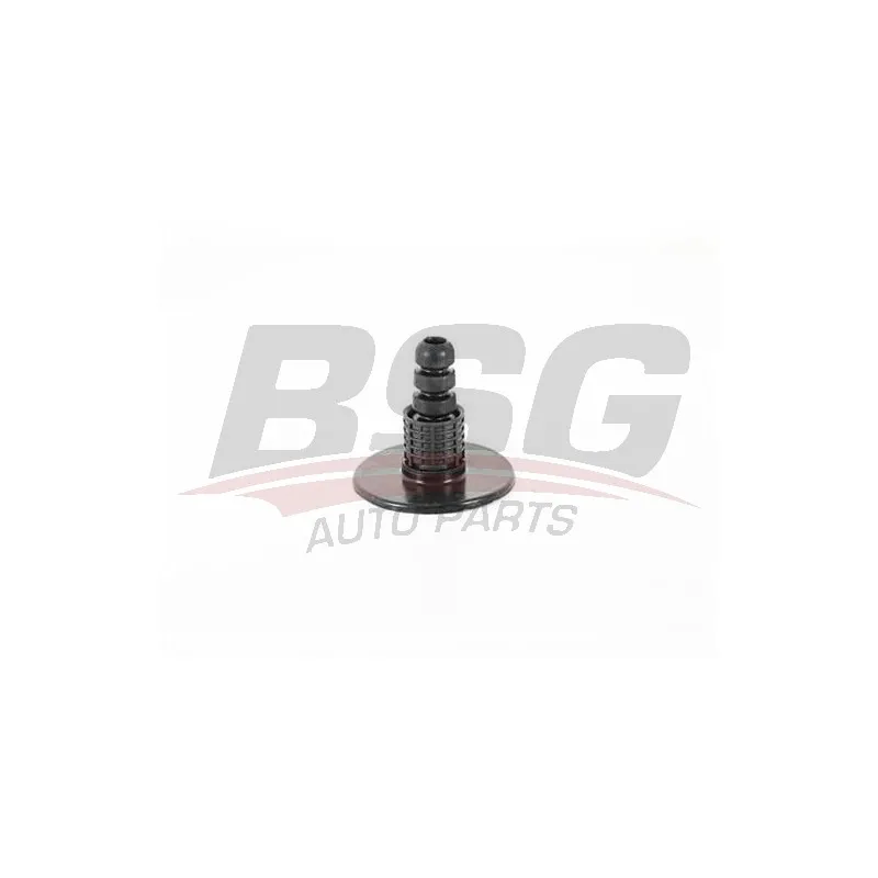 Jeu de 2 amortisseurs arrière BSG BSG 60-700-192