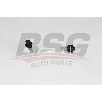 Tuyauterie de carburant BSG BSG 60-725-005