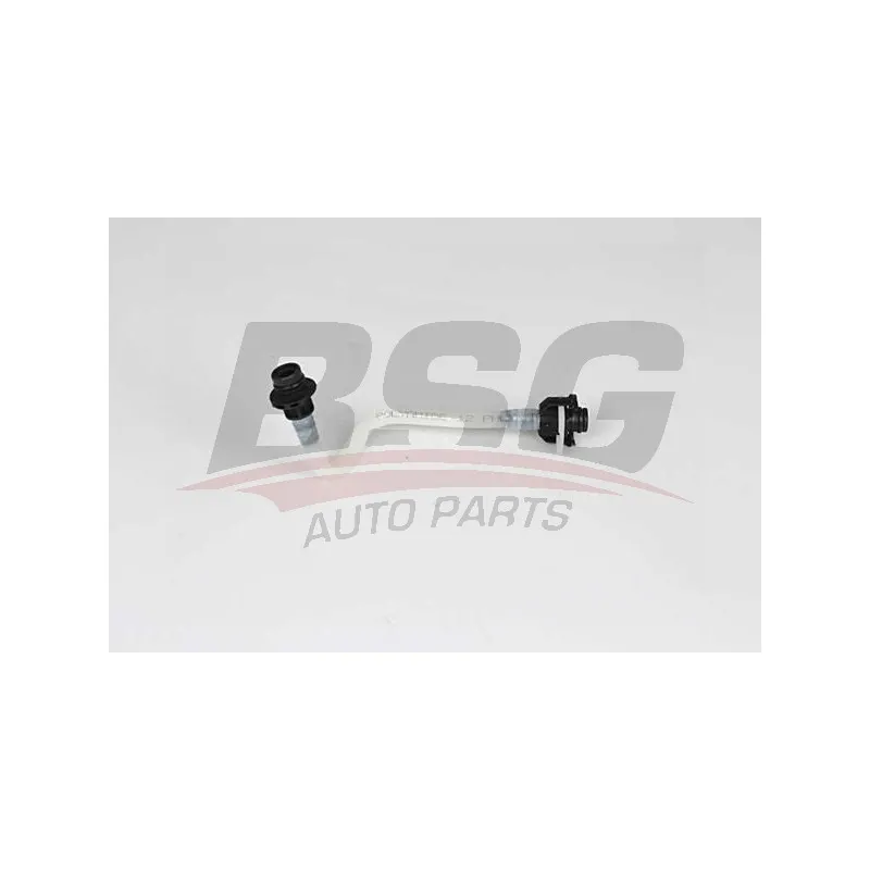 Tuyauterie de carburant BSG BSG 60-725-005