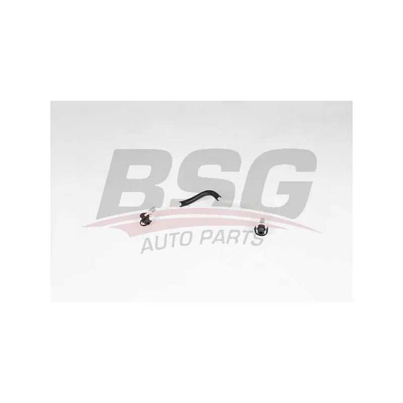 Tuyauterie de carburant BSG BSG 60-725-013