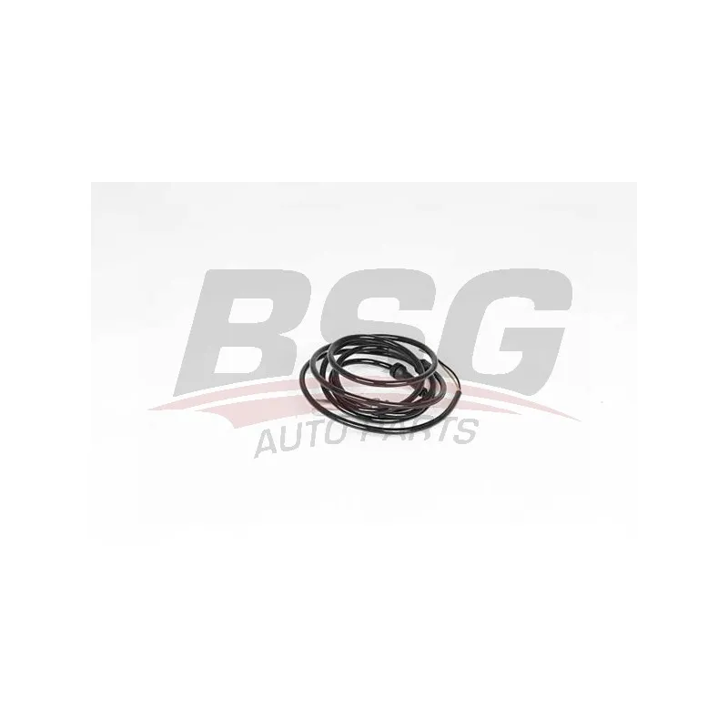 Capteur, vitesse de roue BSG BSG 60-840-084