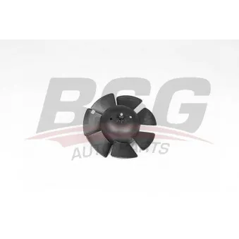 Pulseur d'air habitacle BSG BSG 60-865-004