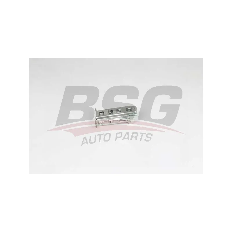 Cale-porte BSG BSG 60-975-075