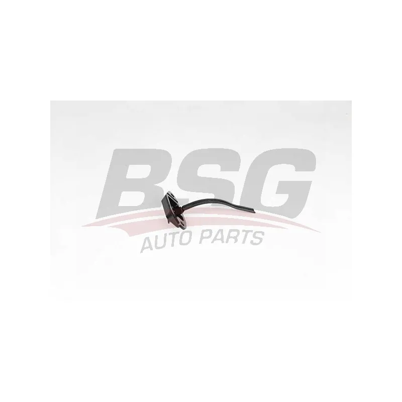 Cale-porte BSG BSG 60-975-076