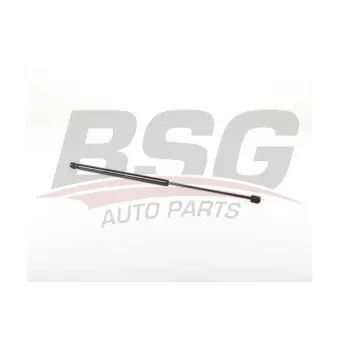 Vérin, capot-moteur BSG BSG 60-980-029