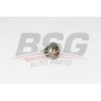 Thermostat d'eau BSG BSG 65-125-016