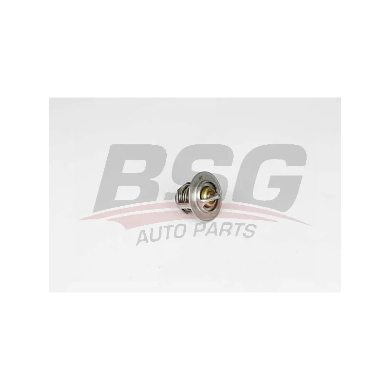 Thermostat d'eau BSG BSG 65-125-016