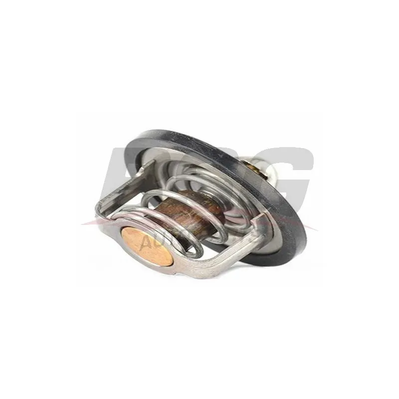 Thermostat d'eau BSG BSG 65-125-019