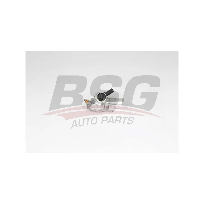 Thermostat d'eau BSG BSG 65-125-026