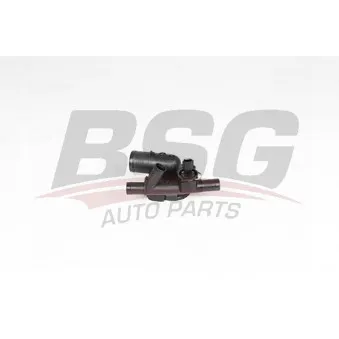 Thermostat d'eau BSG BSG 65-125-027