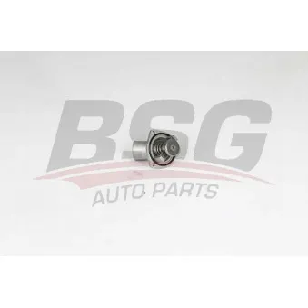 Thermostat d'eau BSG BSG 65-126-004