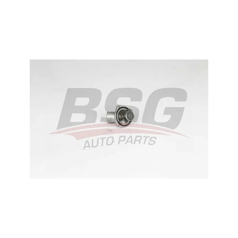 Thermostat d'eau BSG BSG 65-126-004